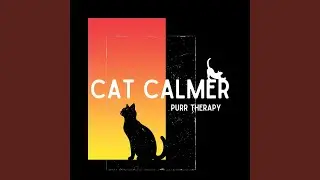 Kitty Daydreams: Rainfall Song