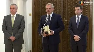 Dragnea: Sevil Shhaideh - propunerea PSD pentru funcția de premier