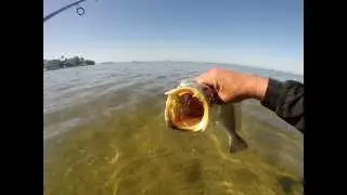Speckeled Trout Fishing March 1st 2014