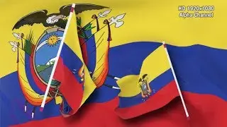 Flag Transition - Ecuador | Motion Graphics - Videohive template