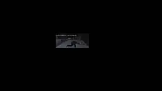 Max Payne / shorts