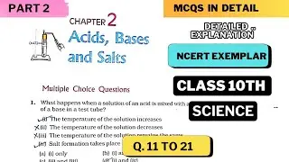 NCERT Exemplar Problem Class 10 Science Ch-2 Acids, Bases and Salts Explanation in detail ( Part 2 )