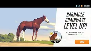 Horse Racing Game #horse #horseriding #cartoon #cartoonvideo #games #gameplay #gaming #viral #game 