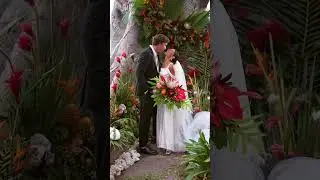 Unveiling Paradise: Capturing Love at Olowalu Plantation | A Visual Journey
