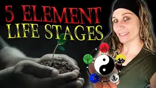 5 Element Life STAGES (Yin Yang Relationship)