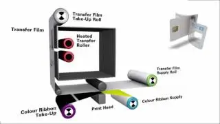 Zebra ZXP Series 9 Retransfer Card Printer - Retransfer Process