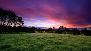 Relaxing Music Peaceful Music Calm Beautiful Instrumental - Tranquil Moments in Time