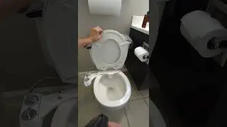 БЫСТРЫЙ ОБЗОР LUXE BIDET NEO 185 PLUS | Обзор продукта Amazon