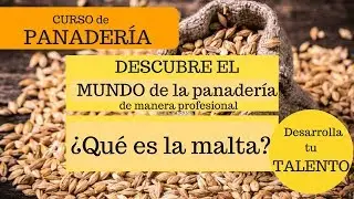 Curso de panader&iacute;a:&iquest;Qu&eacute; Es La Malta? 👇 EBOOK MASA MADRE 👇