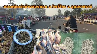 คึกคัก!! ตลาดเช้าบ้านสองคอน อ.โพธิ์ไทร จ.อุบลฯ#ของป่า #ปลาโขง #อาหารตามฤดูกาล 