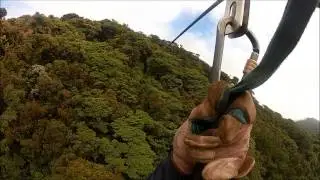 Selvatura Park Zipline and Suspension Bridges, Monteverde, Costa Rica