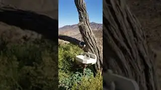 Exploring historic abandoned cabins in Death Valley