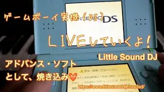 ゲームボーイでライブ演奏！ 「Little Sound DJ」 #チップチューン #DS #レトロゲーム #GB