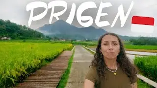 64 | Je ne sais pas quoi en penser... (Prigen) | Indonésie (Java)