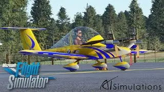 ATSimulations Cri Cri - First Look Review! - MSFS 2020