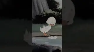 Donald duck status | love status | shorts