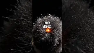 See steel wool burn &mdash; tiny fireworks in 8 seconds! #shorts