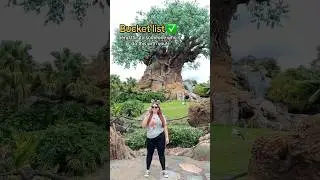 Just a girl in the (Disney) World! #waltdisneyworld #allfourparks #shorts #goals #bucketlist #disney