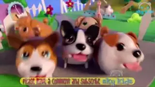 [KID TOY CHANNEL]Best Toys 🐶 Chubby Puppies 🌞 Best Toys Commercials