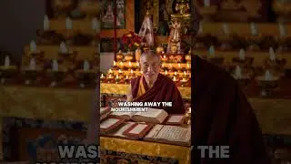 Your ancestors never suffered from the disease of hurry #healing #wellness #longevity