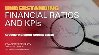 Financial Ratios and Key Performance Indicators