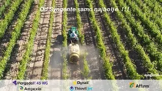 Zaštita vinograda nakon cvatnje pripravcima Ampexio i Pergado F