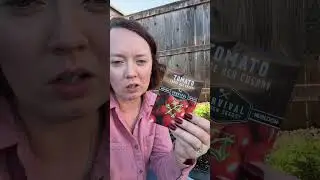 Large Red Cherry Tomato Seeds for Planting Survival Garden Seeds Review: Is It Worth it? (2026)