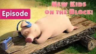 Masha and the Bear – 👶🐷New Kids on the Block! 🐷👶 (Episode 69)