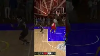 He Fouled Me So I Dunked On His Center!