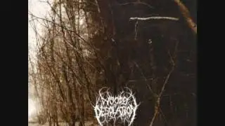 Woods of Desolation - Towards the Depths