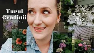 Turul gradinii la jumatatea verii | Am plantat peste 80 de tufe de hortensii (August 2023)