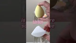 Basic Makeup Sponge vs. StansOut Beauty #stansoutbeauty #beautysponge #makeup #beautysponge