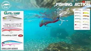 TSURINOYA DW123 Gorgo 120F show & test