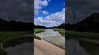 THE BUFFALO BAYOU TEXAS