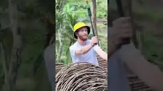 Сколько стоит посетить тур Bali Swing and Coffee Tour | Бюджетный план кругосветного путешествия