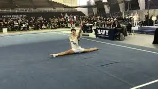 Moroney FX - Navy Open