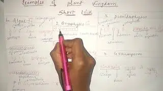 Trick To Learn Examples Of Plant Kingdom Class 11 Biology NEET And AIIMS