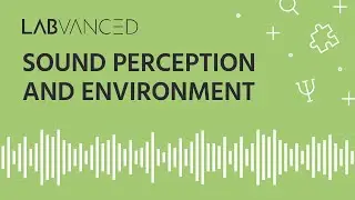 Sound Perception and Environment