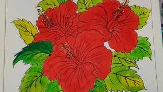 Drawing of a beautiful china rose flower 🌺🌺🖌️🎨🥰#chinarose #drawing #flowers 