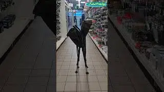 𝐒𝐨𝐧𝐢𝐤 𝐒𝐊-𝐓𝐄𝐊 𝐅𝐨𝐥𝐝𝐢𝐧𝐠 𝐂𝐡𝐚𝐢𝐫