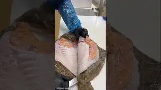 Increadble Turbot Cutting Live In Paris || #shorts