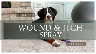 HICC PET Dog Hot Spot Treatment Spray | Itch Relief & Wound Care for Dogs & Cats