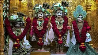 વડતાલ મંદિર લાઈવ દર્શન | આજના દિવ્ય શણગારના દર્શન | છ ધામના દેવોના | તા:- ૨૪ /- ૦૧ /- ૨૦૨૬ | Daily