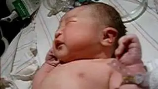 Kya's Birth Mystery02