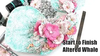 Start to finish Altered Whale featuring  Prima  Marketing's Surfboard Collection