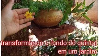 tentando vencer os obstáculos do dia a dia 😔😔 transformando o quintal em um jardim 🌹🌹🌷🌻🌼