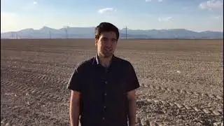 Kırmızı Pancar Yetiştiriciliği