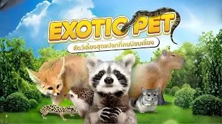 Popular Exotic Pets