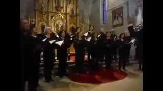 III Memorial Rosa Garcia o Grupo de Canto Aleceia interpreta Malaika  O v d    717440028366156   fro