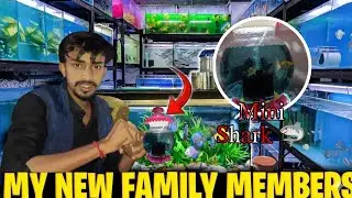 BUYING NEW FISH for AQUARIUM!! 😊